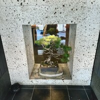 うなぎ藤田 白金台店 - 盆栽