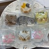 あわ家惣兵衛 - ↑しろあん←チョコ（真ん中猫の置物）→こしあん↓↓↓こしあん