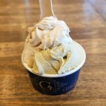 젤라테리아 지나 - 