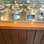 젤라테리아 지나 - 