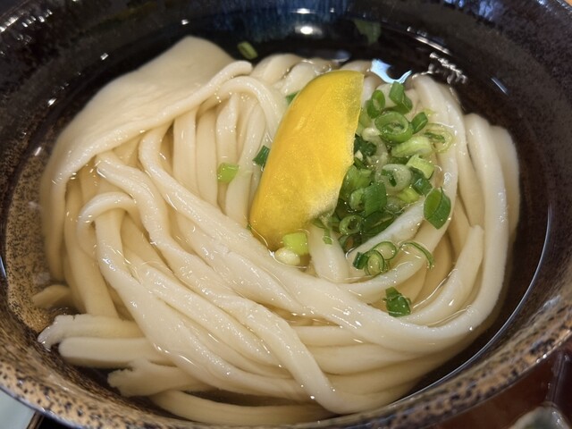 Jikasei Teuchi Yaoki Udon photo 2