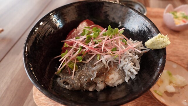 専門魚貝料理大辞典 専門魚貝料理大辞典 ✨人気の大貝入荷してます ✨／ 今が旬の