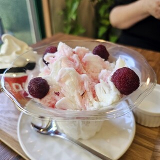 ジャージーの森_1