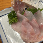 大衆居酒屋魚さんこ - 