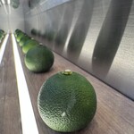 ハレのひむか - 