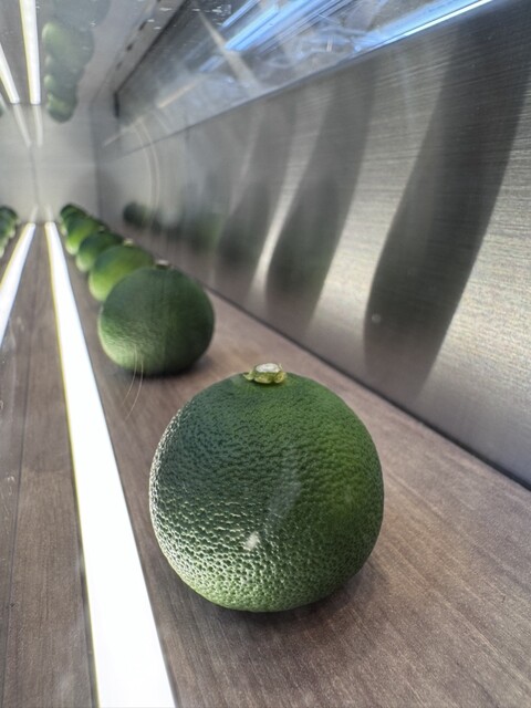 Hare no Himuka photo 5