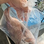 綿半 - わたくし用のタイ。お刺身用でしたが焼きました。