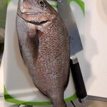 綿半 - 身が厚くふわりとして美味でした。