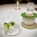 mærge - 2025.7.  森緑