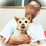 仔犬のワルツ - 夜のわんわんコンパの時にはそこそこ元気に＾＾