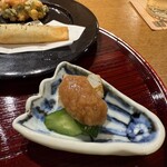 おかもと - アオリイカの炙り、梅ソース、胡瓜