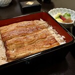 喜代川 - うな重