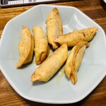 宇都宮みんみん 宿郷店 - 揚げ餃子