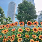 鮨と天ぷら にほんのうみ - さてどこでしょう