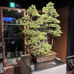 赤身肉じゃんか中目店 - 