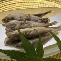 よし町 - 