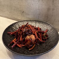 CINA New Modern Chinese - 