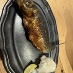 炭火焼き リリー 渋谷店 - 