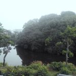 江久庵 - ３階バルコニーから望む古墳