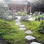 江久庵 - 茶室に続く石