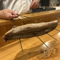 魚と炭と鉄板と ととと - 