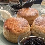 ハウス・オブ・ポタリー - 