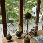 Ryokuyuu Shokudo & SPACE