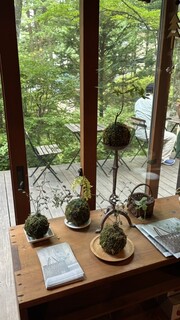 Ryokuyuu Shokudo & SPACE