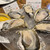 オストレア oysterbar&restaurant - 料理写真: