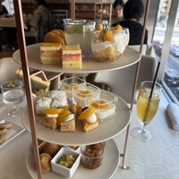 tcc GINZA - 