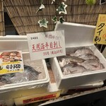 こちら丸特漁業部 - 