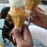 ブルーシール - 