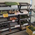 桂浜温泉館 バラエティショップ - 店内③