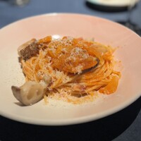 セルサルサーレ - 