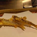 みかわ 是山居 - あゆ