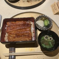 うなぎ 目白ぞろ芽 - 