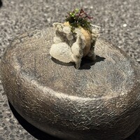 アニエルドール - 