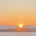 喫茶とお酒ムラリス - 