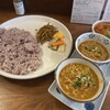 初台スパイス食堂 和魂印才たんどーる - カレー3種盛りのセット