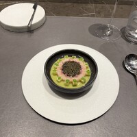 CIRPAS - 
