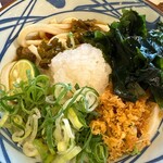 丸亀製麺 - 青唐ぶっかけうどん並