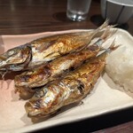 御苑　炉庵 - 鯵・鰯