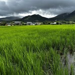 ゆふいん山椒郎 - 