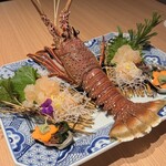 横浜中納言 日本大通り - 刺身