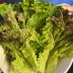 屋上ビアガーデン&バーベキュー Beer Leaf - 