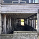 海席料理処　小舟渡 - 