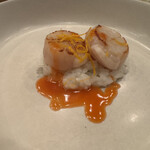 モンプチコションローズ - 