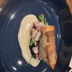 モンプチコションローズ - 