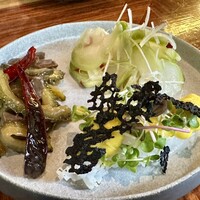 TexturA - 本日の前菜盛り合わせ