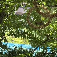 ル ジャルダン グルマン - 